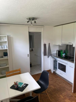 2.5 Zimmerwohnung, Pinut
